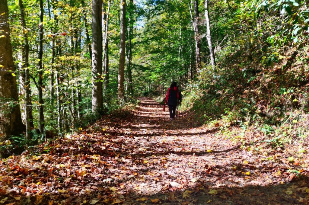 woman hiking through the woods in tryon nc