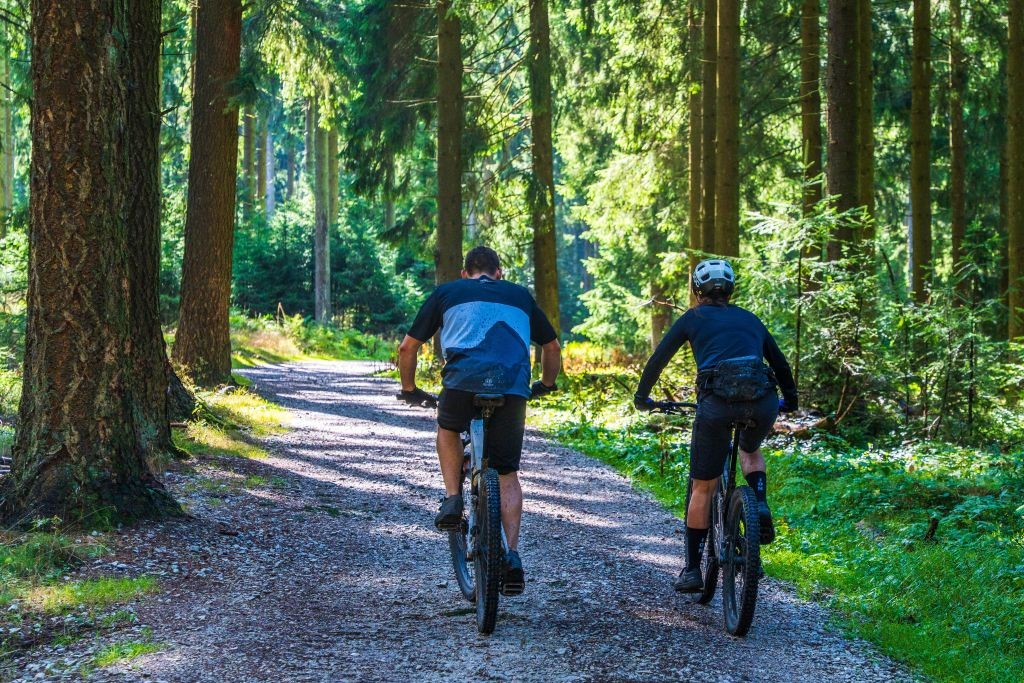 mountain bikers in the woods near tryon nc